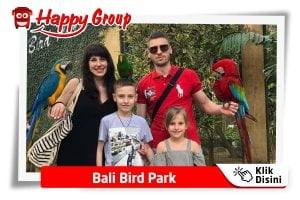 Bali - Bali Bird Park