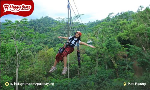 Pule Payung Flying Fox