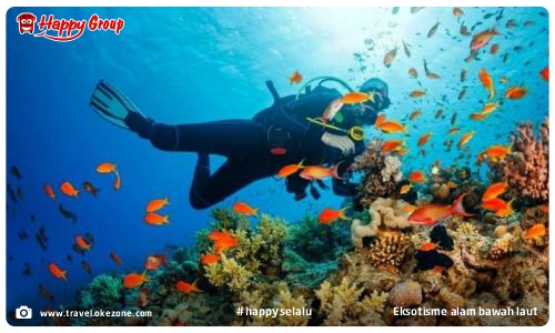 Makassar - Eksotisme alam bawah laut